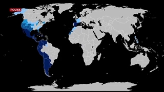 ترس سنای آمریکا از نفوذ طلبه‌ها