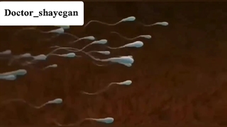 انیمیشن لقاح تا تولد نوزاد