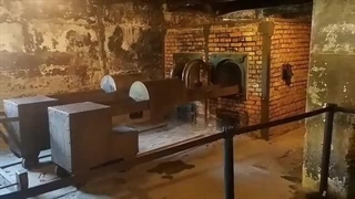 چرا آلمان در جنگ جهانی دوم شکست خورد؟