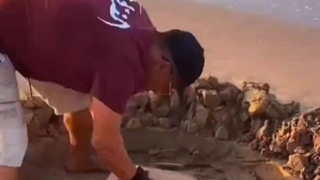 ارسالی از طرف مهمان