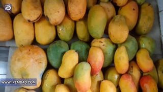 نحوه شستن انبه در ماشین ظرفشویی