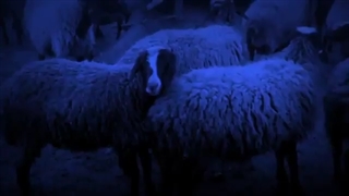 داستان ترسناک کارخونه سیمان متروک در اندیمشک قسمت پایانی