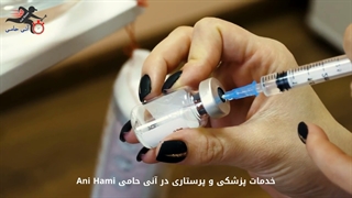 خدمات پزشکی و پرستاری در آنی حامی Ani Hami
