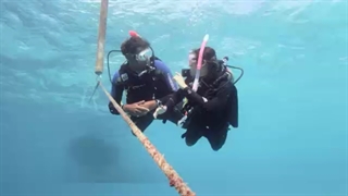 اکولایز کردن در غواصی