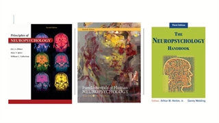 مقدمات نوروسایکولوژی