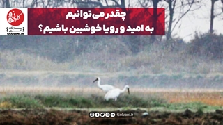 چقدر میتوانیم به امید و رویا خوشبین باشیم؟