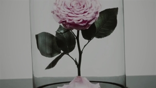 بیا بغلم اگه منظورمو از اینا میفهمی