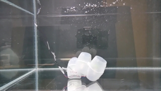 باز هم اعماق دریا الهام بخش دنیای رباتیک شد، ربات‌های نرم‌تن برای اکتشاف فضا