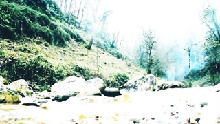 Ehsan Khajeh amiri - 30 Salegi Dubsmash