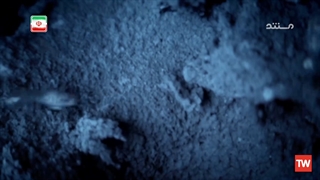 شگفتی‌های حیوانات ؛ 2014 ؛ فصل 1 ؛ قسمت 2