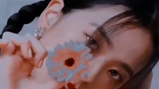 تاریخ تولد اعضای بلک پینک/ بلک پینک