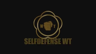سازمان دفاع شخصی وینگ چون ایران - selfdefense-wt