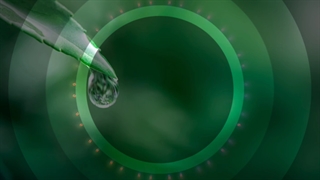 دانلود افکت های رایگان ۴۰۲ - free overlays