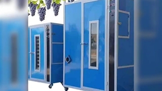 ابعاد دستگاه خشککن انگور،خشک کن میوه و سبزی،دستگاه خشک کن صنعتی