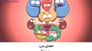 درگیری‌های بارداری