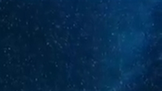 کیا بیلی رو دوس دارن؟ به فالو ان