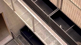 اجرای فلاورباکس برج نیاوران