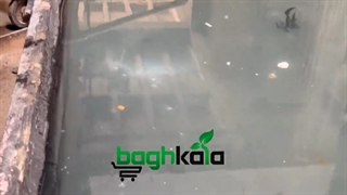 تست آب بندی پاسیو شریعتی