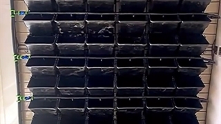 آموزش و ارسال لوازم دیوار سبز