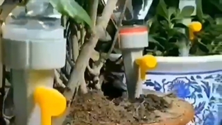 فیتیله آبیاری گلدان مخصوص سفر و مسافرت