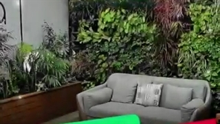 مشاوره ،طراحی ، تامین و اجرای انواع دیوار سبز طبیعی