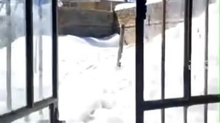 زمان شاه کوهرنگ چگونه بود؟