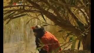 فلم موکب الإباء کامل 2005