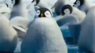 هماهنگ ترین ادیت قرن(زیادی هماهنگه لامصب)