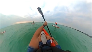 پدل برد های متفاوت و  سه لایه POUYANIZ