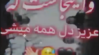 اینجا که میگن عزیز دل همه میــشی