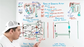 Diuretics