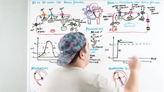 Antiarrhythmic Drugs