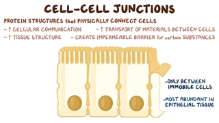 فیزیولوژی سلولی اسموزیس بخش پنجم(اتصالات بین سلولی)