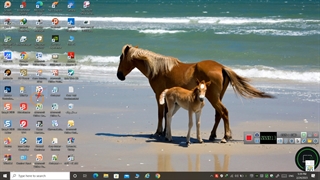 نحوه بالا بردن کیفیت تصویر از طریق نرم افزار TechSmith Snagit 2020