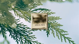 جورجیو آرمانی آرمانی سایپرس پانتلریا