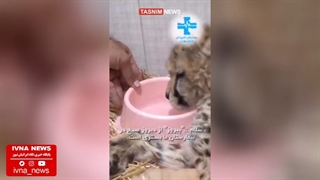 فیلمی از حال ناخوش پیروز در بیمارستان