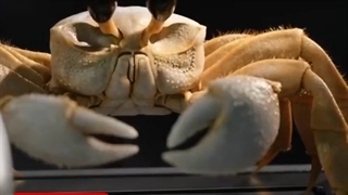 تبلیغ بامزه و خلاقانه اولین هامر تمام برقی