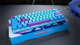 آنباکس کیبورد مکا مینی داکی | Ducky Mecha Mini Frozen Llama Edition Unboxing