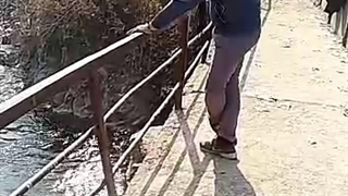 ارمیس روانشناسی