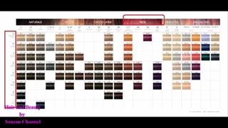 روش صحیح خواندن کاتالوگ رنگ مو (قسمت پنجم)