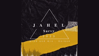 آهنگ جدید سروی جاهل - میفاموزیک