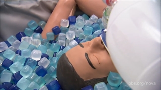 داستان انگلیسی: انجماد برای آینده - آکادمی روان