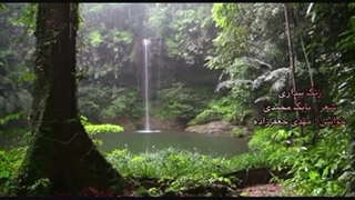 شعر بابک محمدی