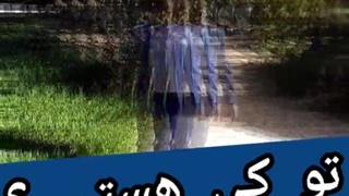 کارنامه اجتماعی