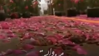 عمر من وابسته به نفس تو بسته...