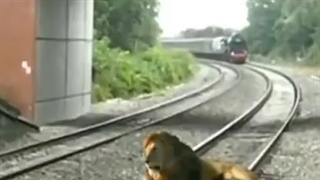 وااای قلبم ریخت