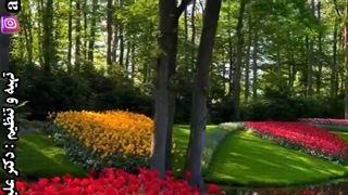 و من شر حاسد اذا حسد