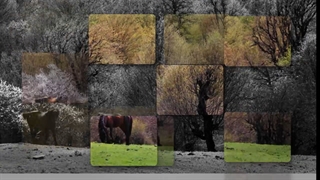 آموزش ترفند های عکاسی