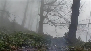 روز جدید و هدیه خداوند