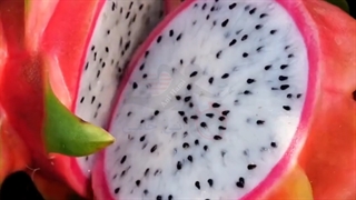 روش کاشت و پرورش گل، گیاه، میوه با آنی حامی Ani Hami